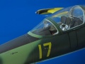 HPH 1/32 L-39 Albatros