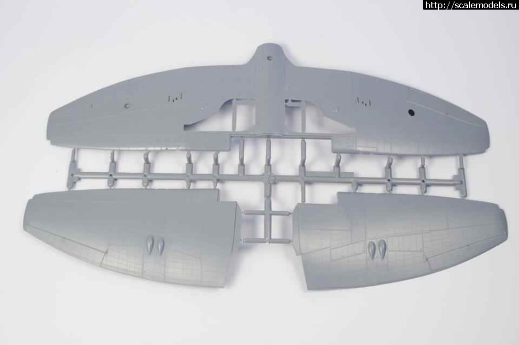 1523342021_263.jpg :  Special  Hobby 1/32  Tempest Mk.VI  