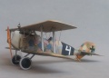 1/48 Aviatik Berg D.I 238 series.