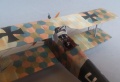 1/48 Aviatik Berg D.I 238 series.