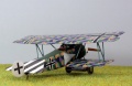 Roden 1/72 Fokker D.VI -   ?