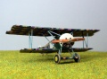 Roden 1/72 Fokker D.VI -   ?