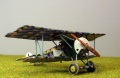 Roden 1/72 Fokker D.VI -   ?