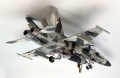 Hobbyboss 1/48 F/a-18A+ Hornet - Russians are coming!