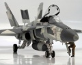 Hobbyboss 1/48 F/a-18A+ Hornet - Russians are coming!