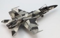 Hobbyboss 1/48 F/a-18A+ Hornet - Russians are coming!