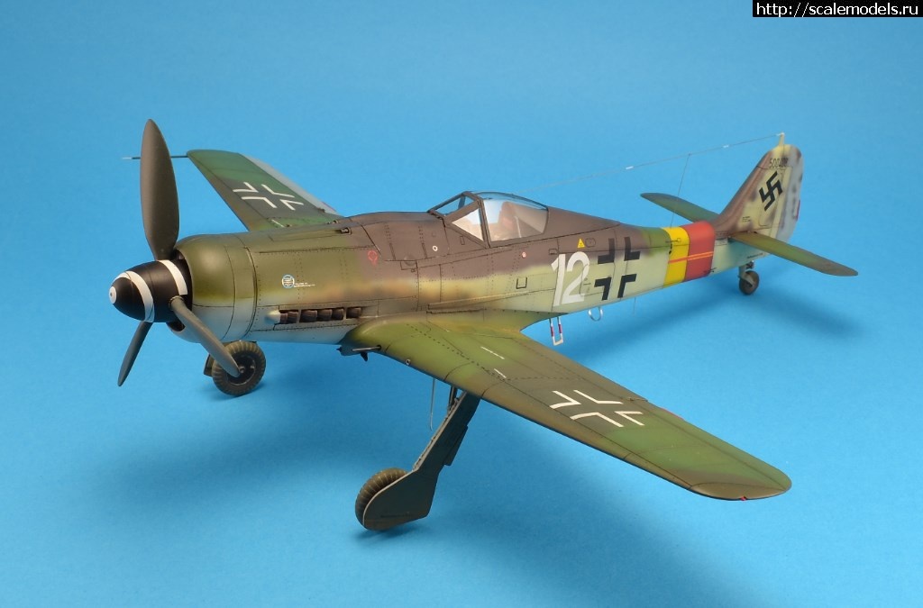 1525713545_9.JPG : #1477477/ FW 190D, 1/48. .   