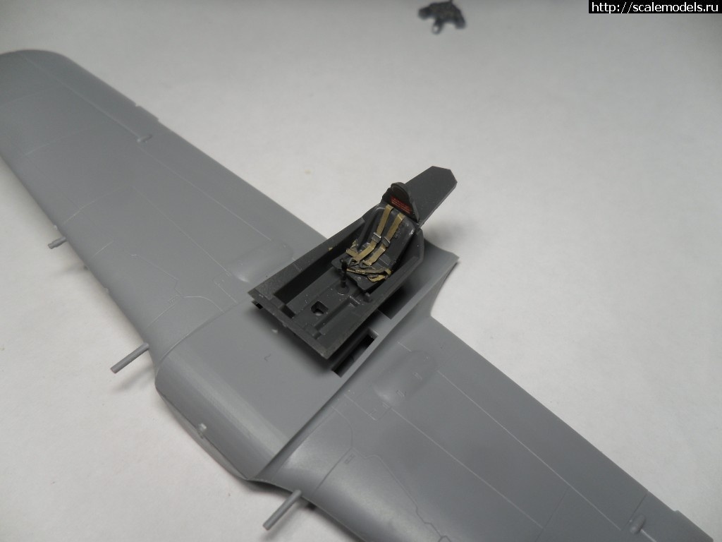 1526589456_SAM_5769.JPG : Fw-190 A-4 1/72    