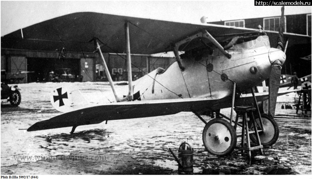 1527436379_pfalz-d-iiia_2.jpg : #1482602/ WnW 1/32 Pfalz D.IIIa - Hans Joachim Buddecke -   