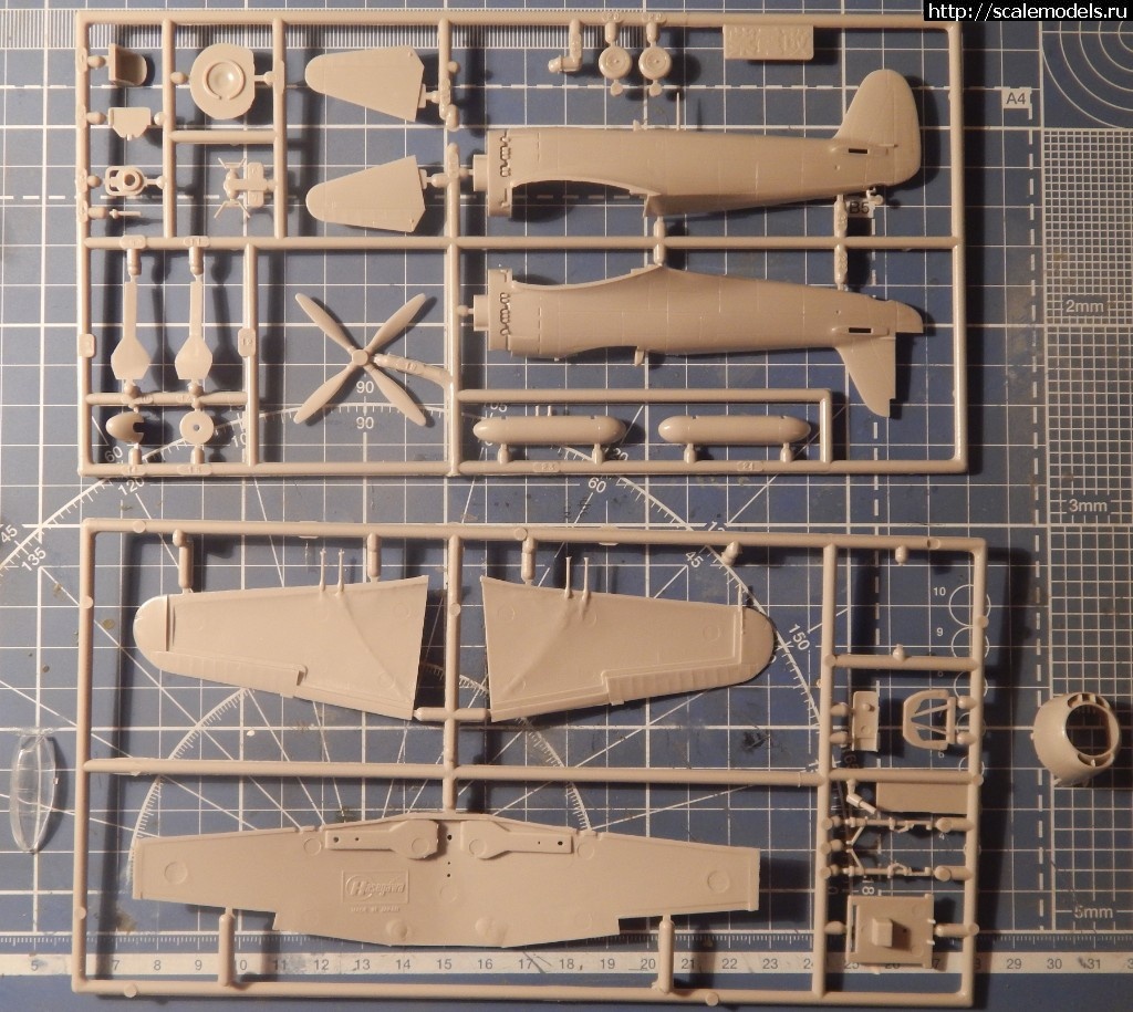 1527687301_DSCN3648.JPG : Hasegawa Kawanishi N1K2-J Shiden-kai -1/72.  