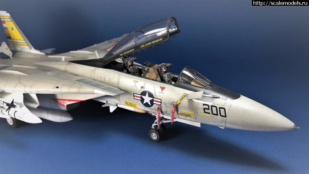 1527708307_33.jpg : #1483562/ F-14  1/48 Hobby Boss "!!!"  