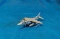 Revell 1/144 BAe Harrier GR MK.7