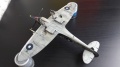 Eduard 1/48 Spitfire Mk VIII -     24  - 2