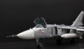 ВЭС 1/72 Я не Шарли, я - Су-24