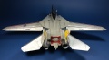 Hobby Boss 1/48 Grumman F-14 Tomcat