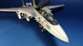 Hobby Boss 1/48 Grumman F-14 Tomcat