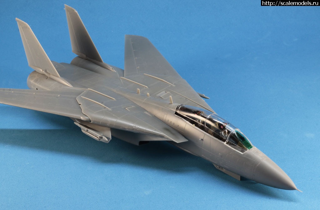 1528362814__MG_4425.jpg : #1485549/ Hobby Boss 1/72 F-14A Tomcat   