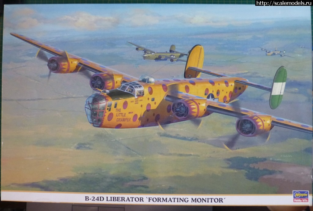 1528472216_P1060340-.JPG : #1485865/ B-24J Hasegawa 1/72   