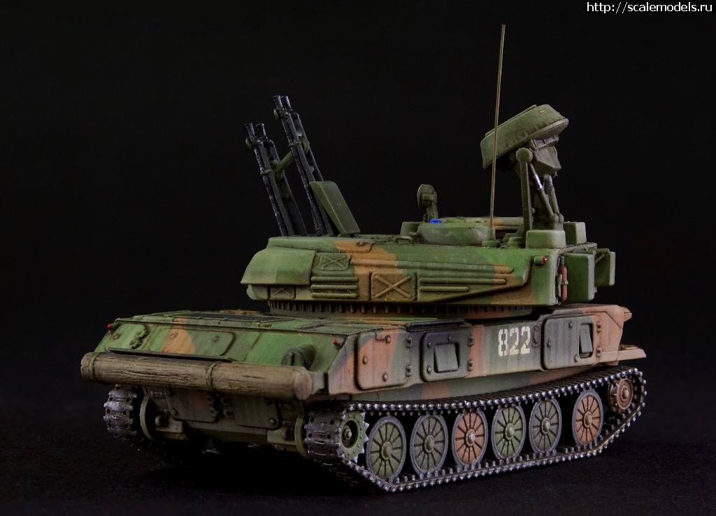 1529875036_Zvezda-Shilka-03.JPG :     -   , 1/100  