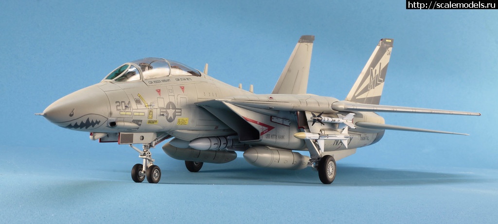 1530365914__MG_4594.JPG : #1490134/ Hobby Boss 1/72 F-14A Tomcat   