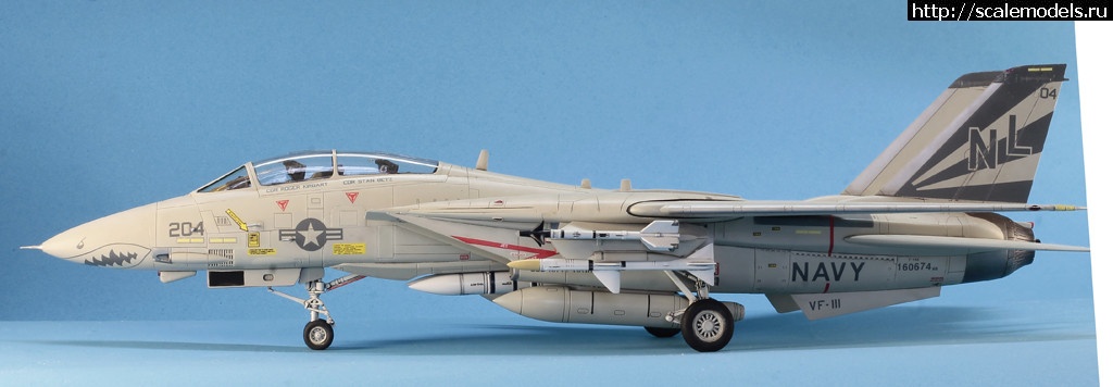 1530365921__MG_4595.JPG : #1490134/ Hobby Boss 1/72 F-14A Tomcat   