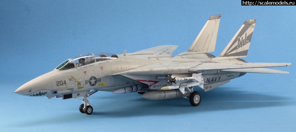 1530365933__MG_4597.JPG : #1490134/ Hobby Boss 1/72 F-14A Tomcat   