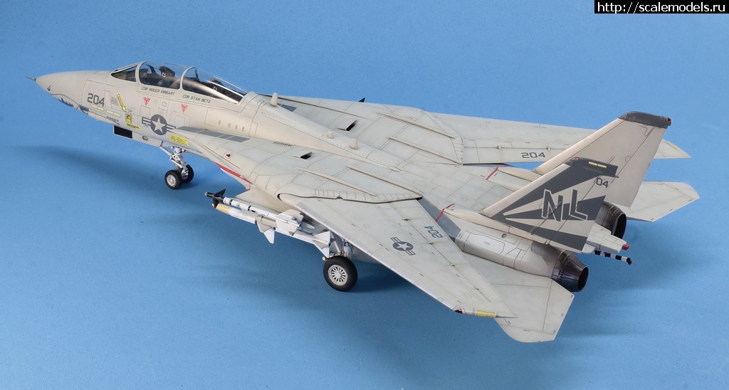 1530365966__MG_4601.JPG : #1490134/ Hobby Boss 1/72 F-14A Tomcat   