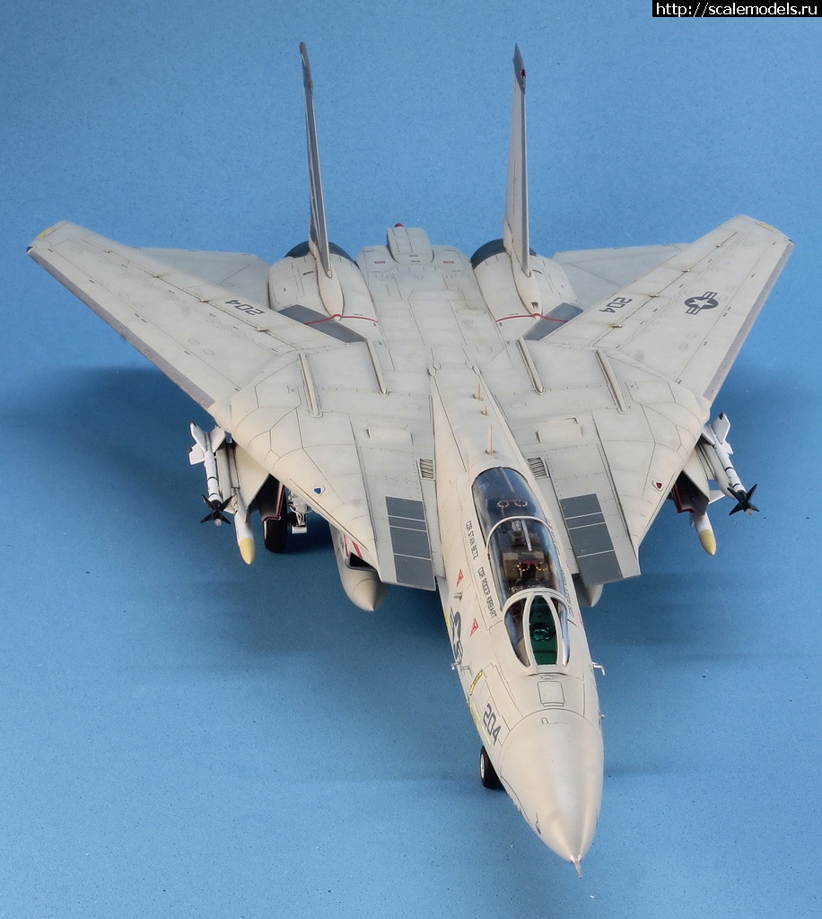 1530365981__MG_4603.JPG : #1490134/ Hobby Boss 1/72 F-14A Tomcat   