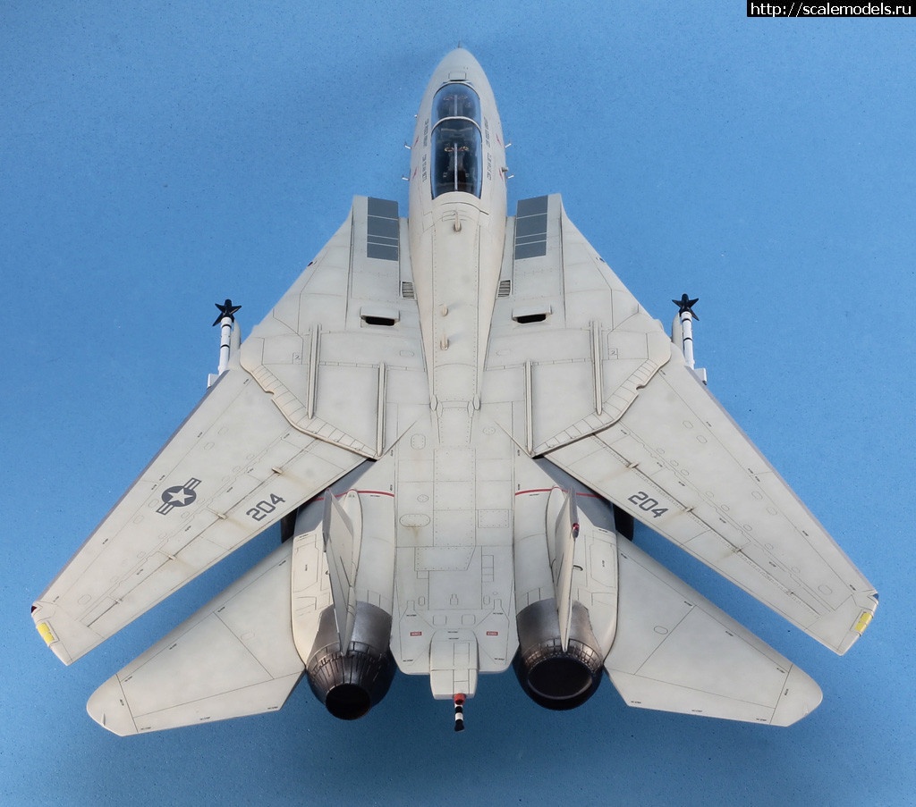 1530365993__MG_4605.JPG : #1490134/ Hobby Boss 1/72 F-14A Tomcat   