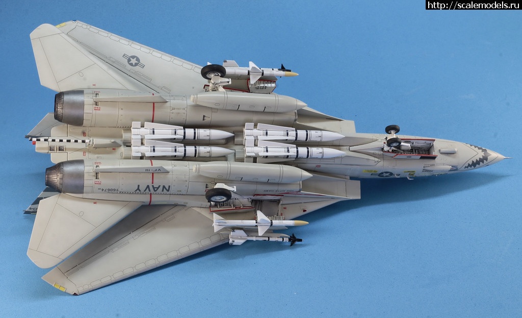 1530365999__MG_4606.JPG : #1490134/ Hobby Boss 1/72 F-14A Tomcat   