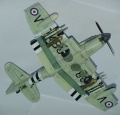 Special Hobby 1/72  Fairey Firefly Mk.V