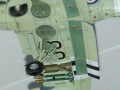 Special Hobby 1/72  Fairey Firefly Mk.V