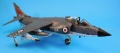 Tamiya 1/48 Sea Harrier FRS.1