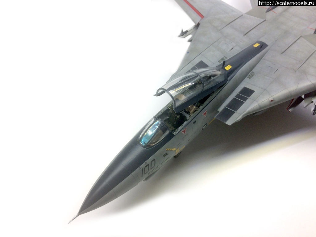 1531044305_004-2.jpg : #1491567/ F-14B Tomcat 1/48 Hasegawa - !  