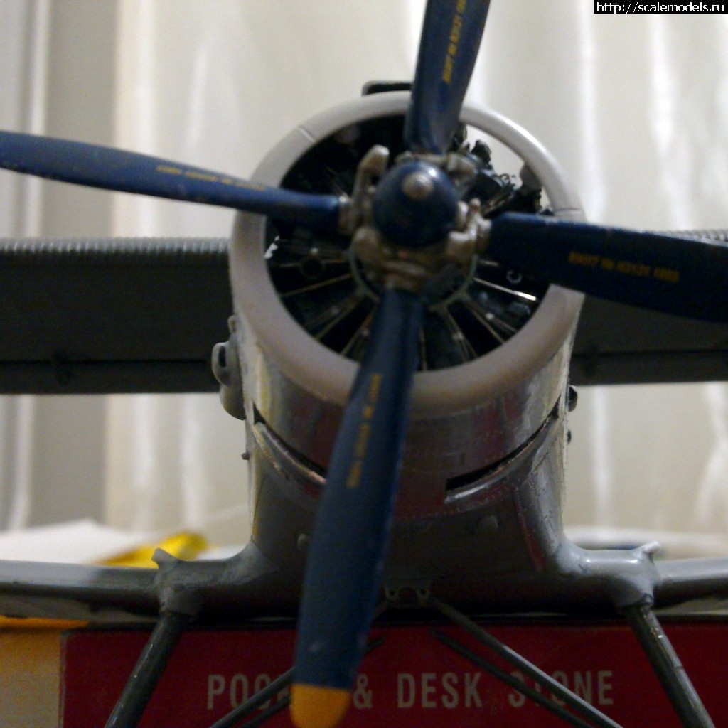 1532411051_foto0839.jpg : #1494728/  -2 1/48 Bilek  