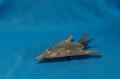 Dragon 1/144 F-117a Night Hawk