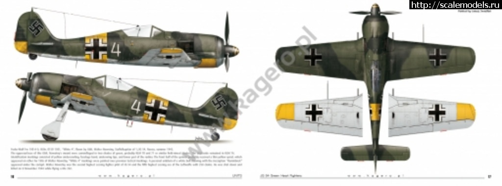 1534389523_3917_1-auto_downl.jpg : FW 190A-5, 1/48 .    -   