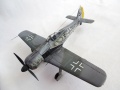 Hasegawa 1/48 Focke-Wulf FW190A5