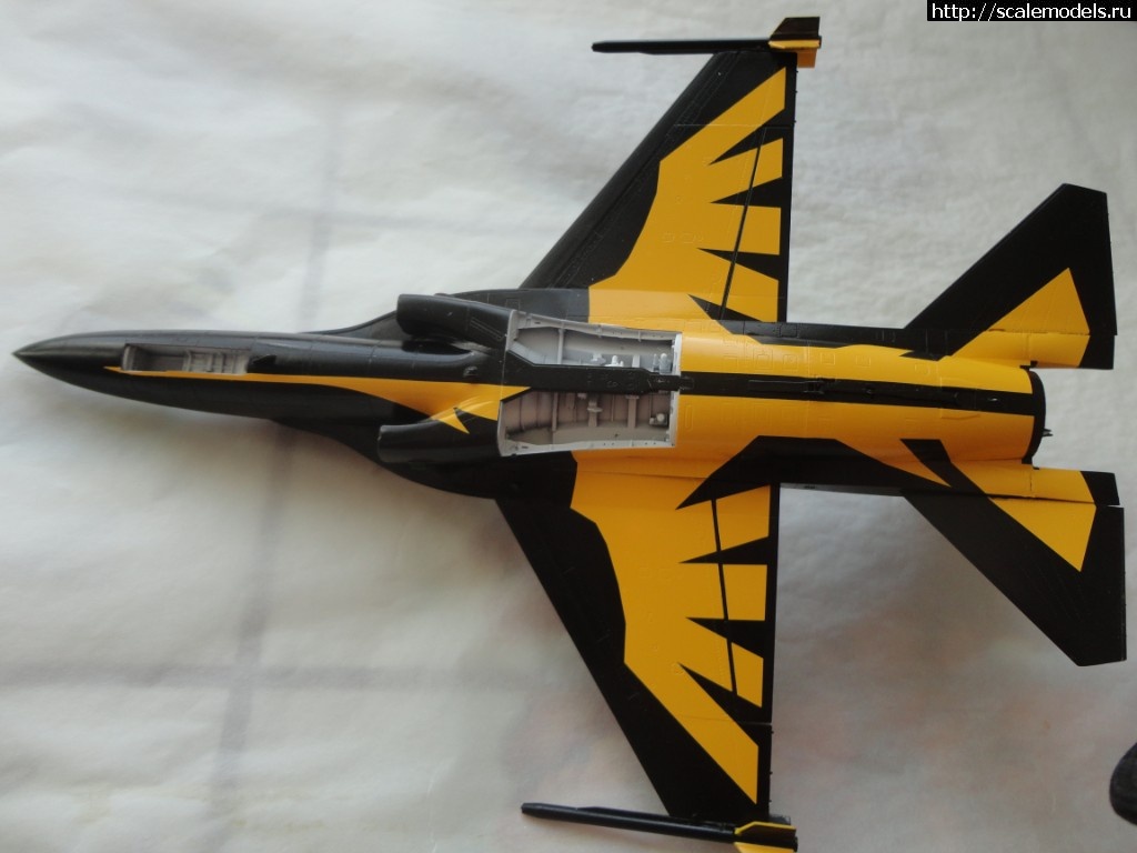 1536563715_DSC01304.JPG : #1503520/ ROKAF T-50B Black Eagles Academy 1\48  