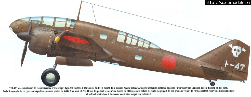 1538848585_140.JPG : #1508617/ Ki-46 III 1/72 Hasegawa    