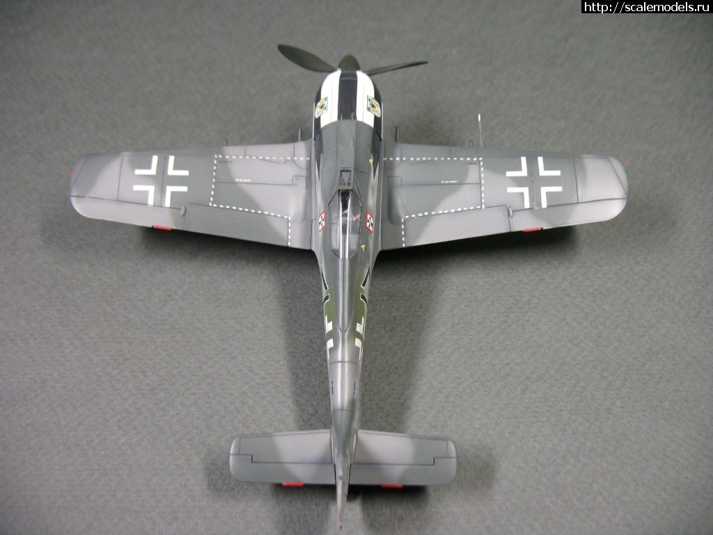 1538848969_IMG_0732.JPG : #1508622/ FW 190 A4,  1/72  