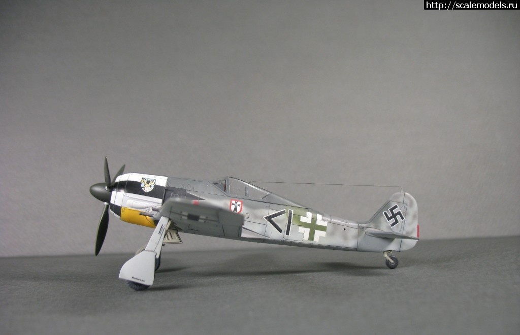 1538848970_IMG_0738.JPG : #1508622/ FW 190 A4,  1/72  