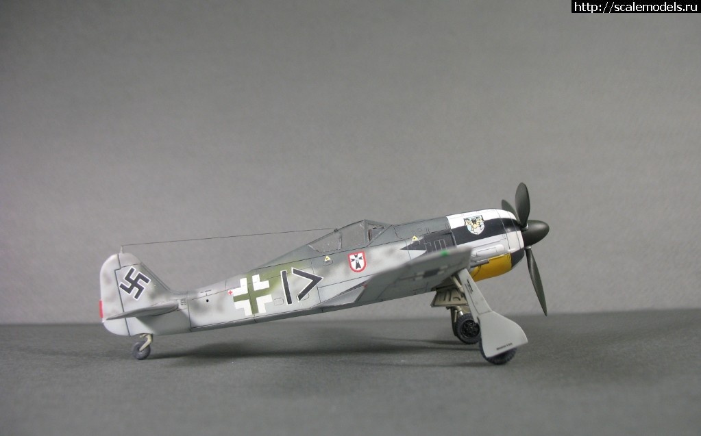 1538848970_IMG_0739.JPG : #1508622/ FW 190 A4,  1/72  