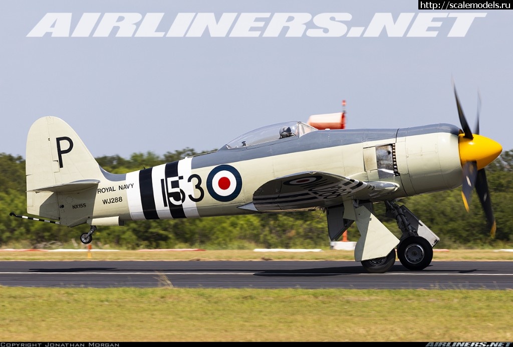 1540240221_5051843.jpg : #1511619/ Hawker Sea Fury FB.11      Trumpeter   1:72..  