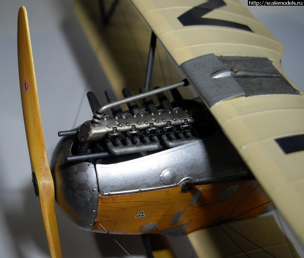 1540556534_IMGP8571_1.jpg : #1512209/ 1/48 Albatros D.III OEFFAG 153  Eduard  