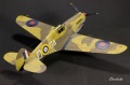 Airfix 1/48 Curtiss Tomahawk MK.II