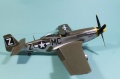 Tamiya 1/32 P-51D Mustang