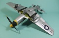 Tamiya 1/32 P-51D Mustang