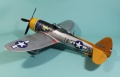 Hasegawa 1/32 P-47D Thunderbolt