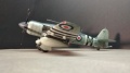 Trumpeter 1/48 Hawker Sea Fury